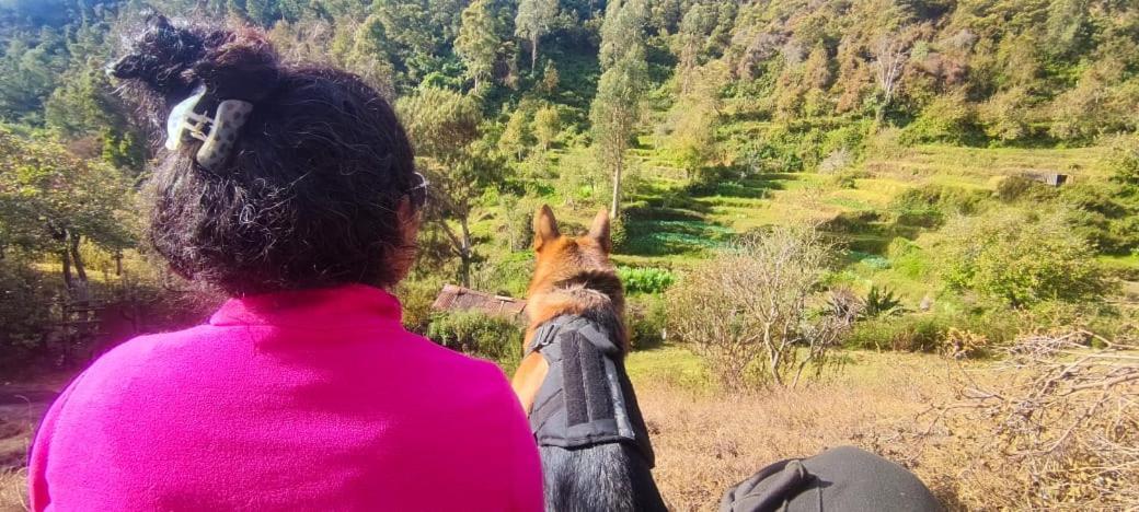 Villa Frozen Monks Tamilnadu - Tamilnadu - Kodaikanal Esterno foto